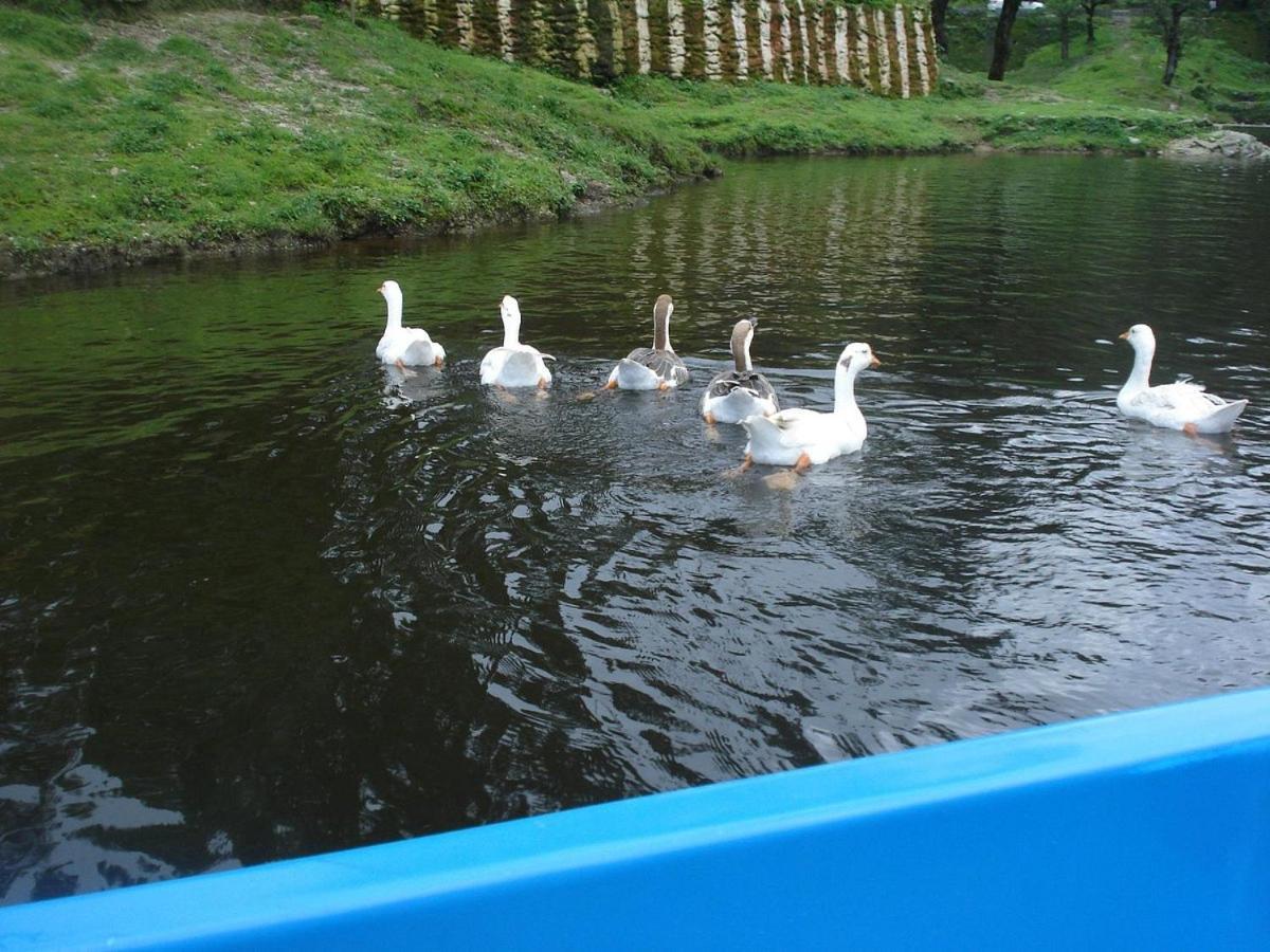 Riverside Resort Lansdowne Dış mekan fotoğraf